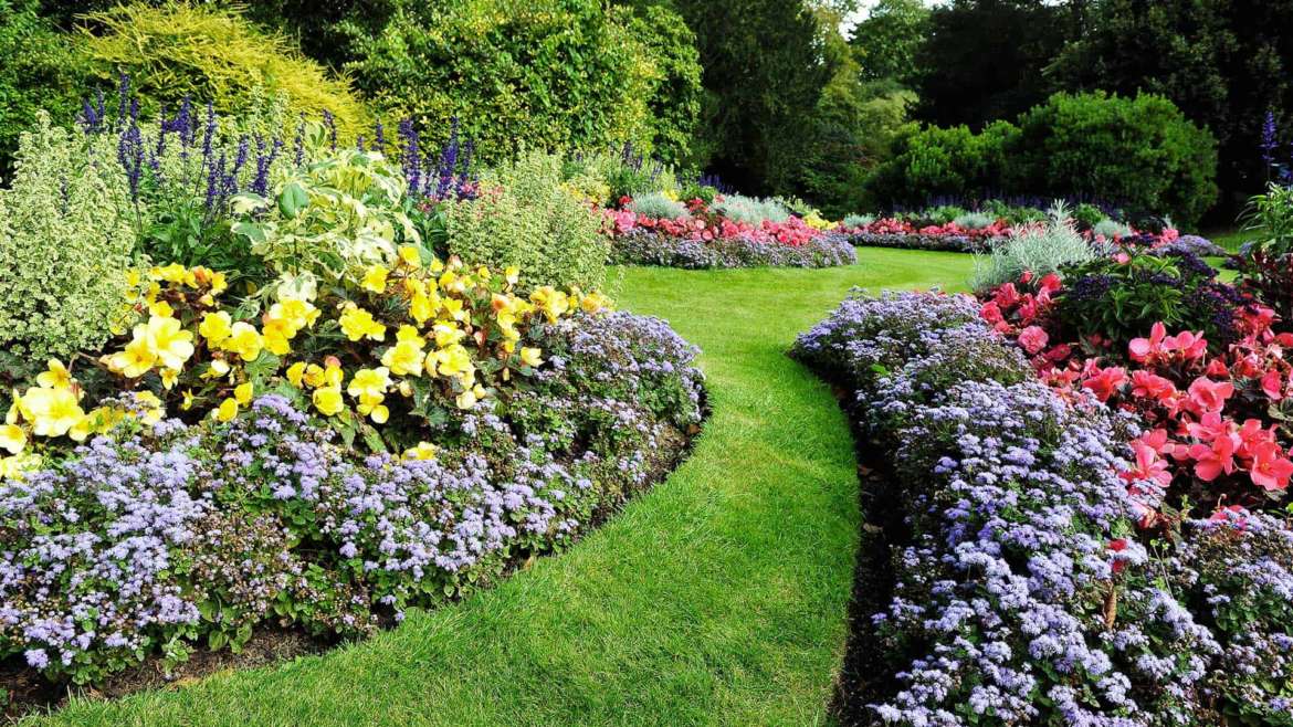 Giardino in primavera: il risveglio delle aree verdi